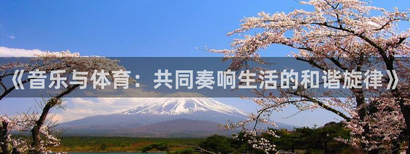 飞速体育app：《音乐与体育：共同奏响生活的和谐旋律》