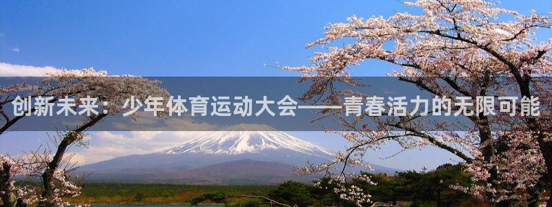 飞速体育老佳