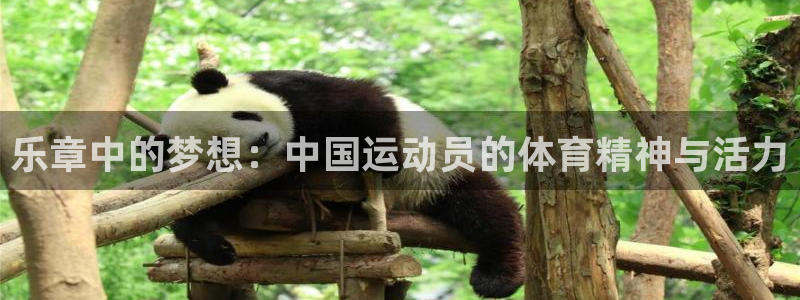 飞速体育网店是正品吗