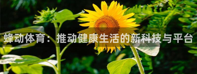 飞速体育直播下载