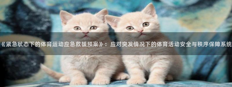 飞速体育网店是正品吗