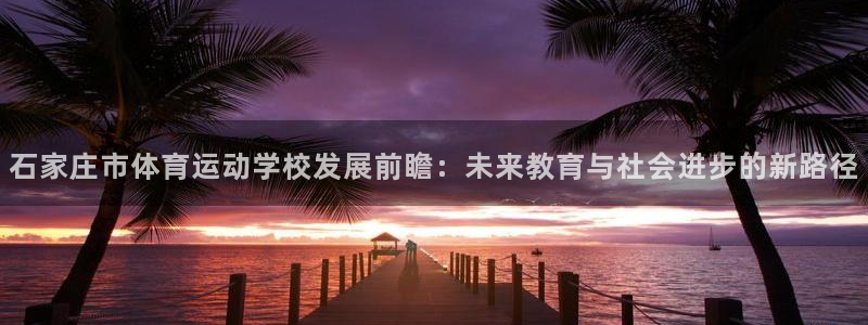 飞速体育买鞋：石家庄市体育运动学校发展前瞻：未来教育与社会进步的新路径