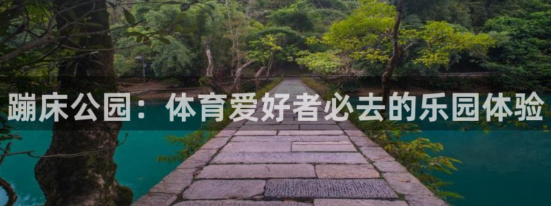 飞速体育直播下载：蹦床公园：体育爱好者必去的乐园体验
